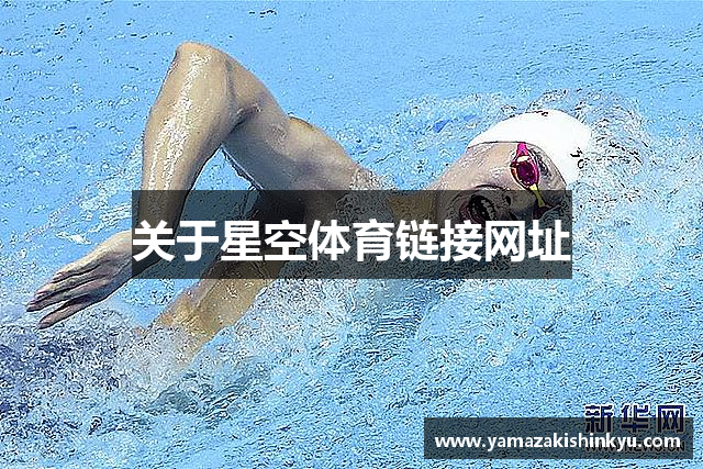 关于星空体育链接网址
